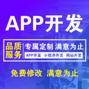APP小程序商城开发微信公众号定制网站制作购物系统搭建APP积分平台